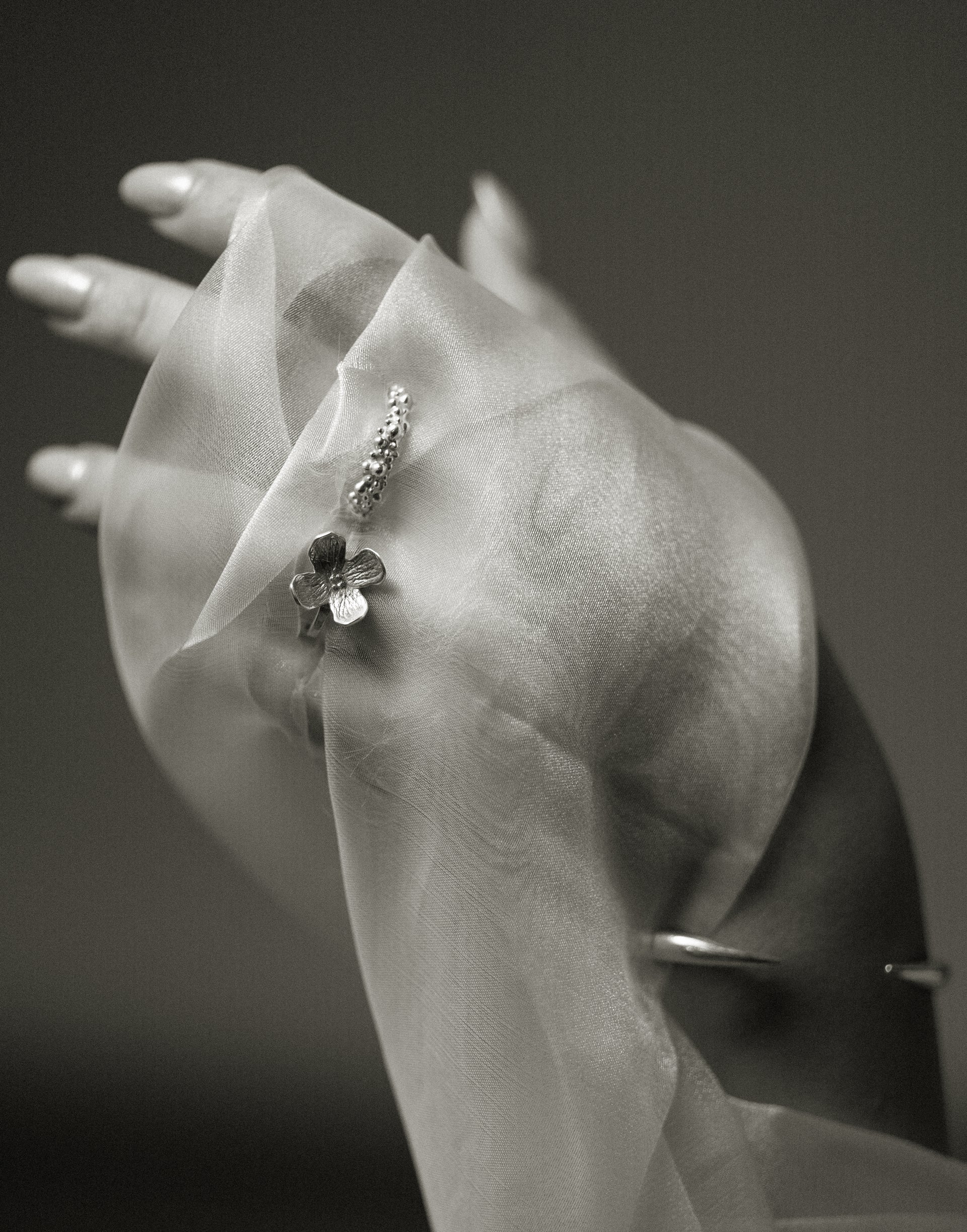 Imagen Banner escritorio